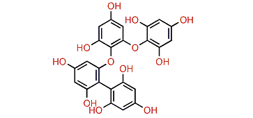 Fucodiphloroethol G